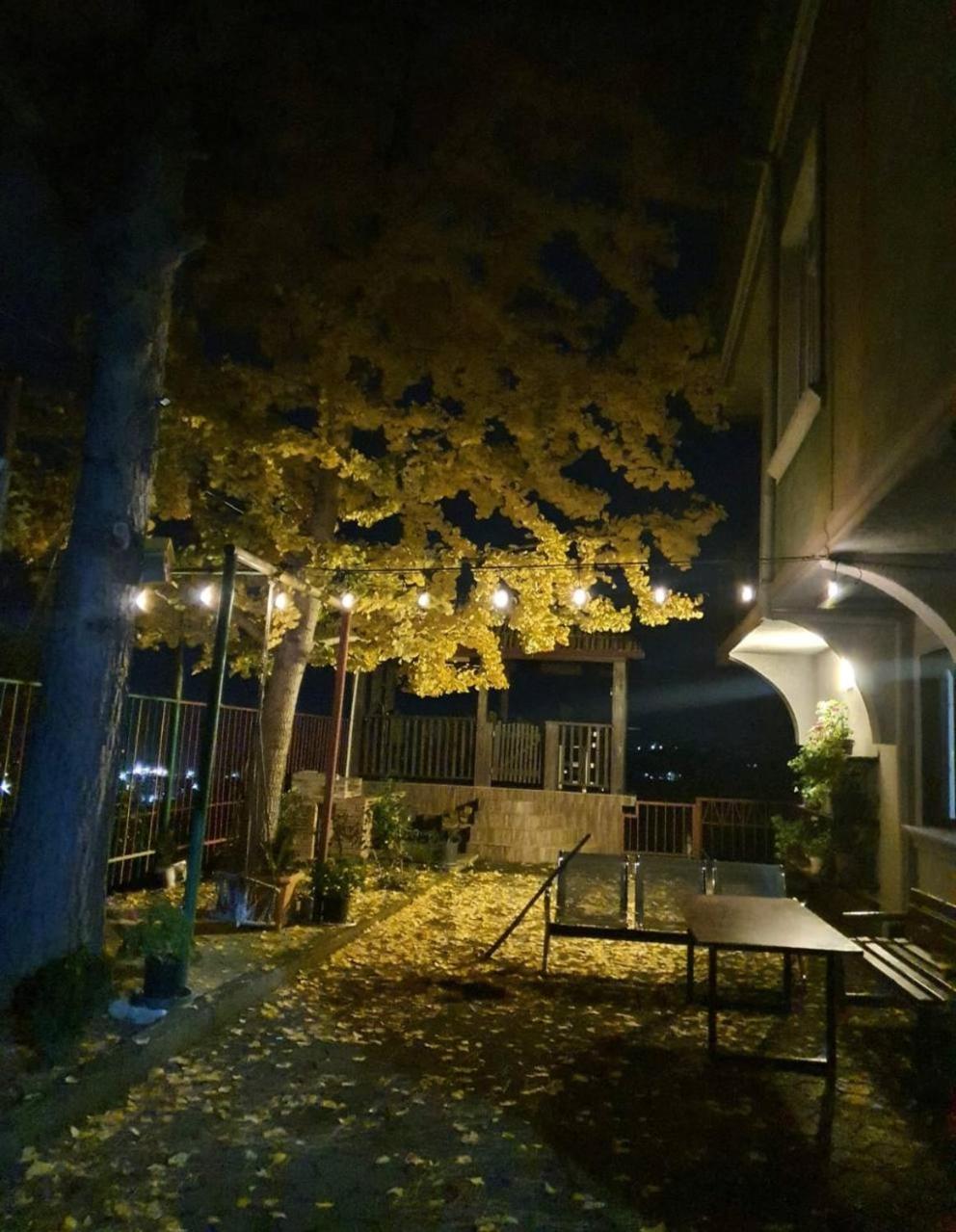 Hotel Gt House Batumi Exterior foto